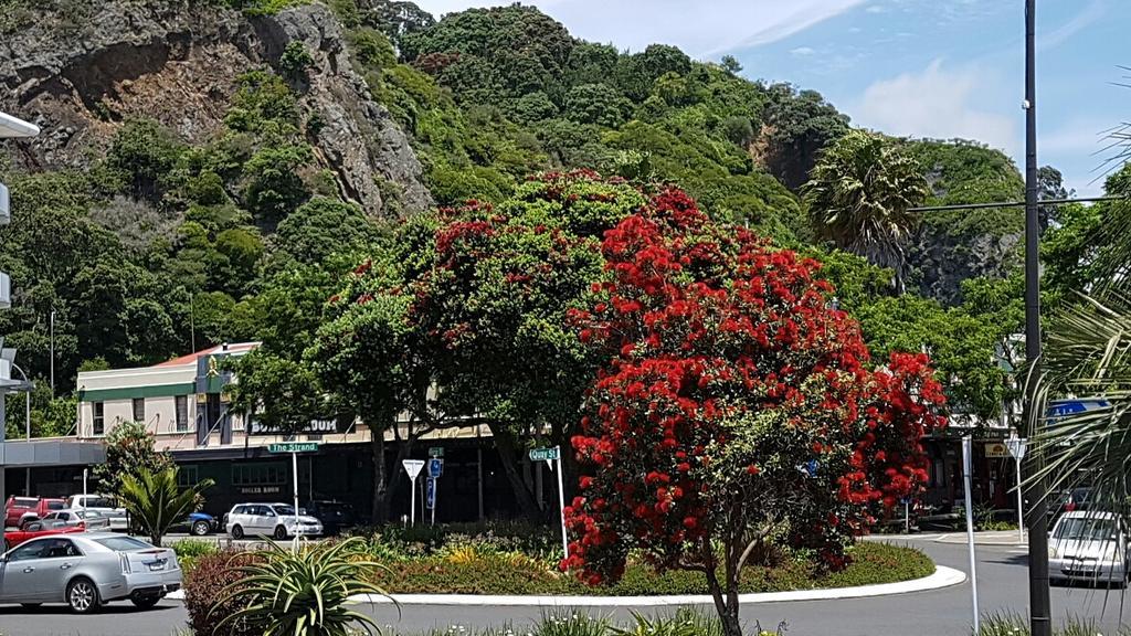 Whakatane Hotel Exteriér fotografie